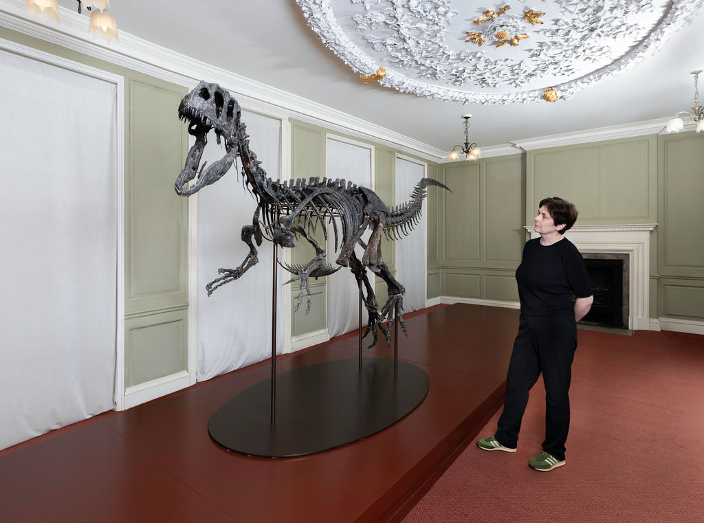 Juliasaurus at Hollytrees Museum. Image David Owens courtesy David Aaron gallery 