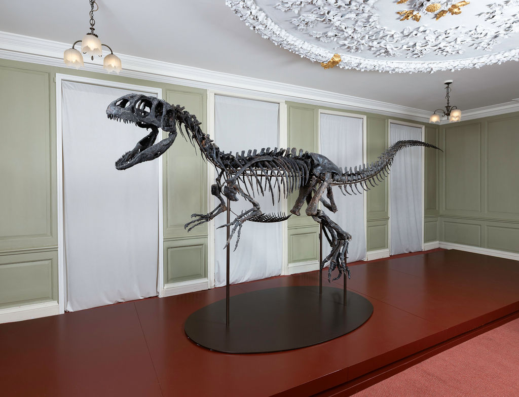 ‘Juliasaurus’, Late Jurassic Period (154-142 million years ago). Image: David Owens, courtesy David Aaron gallery    