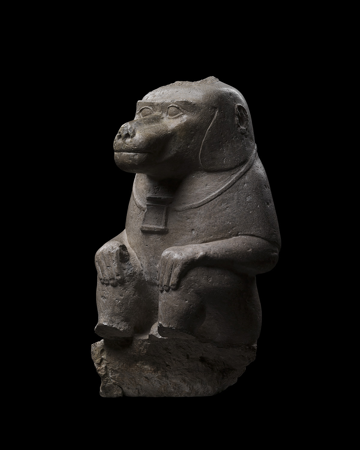 Limestone Baboon, 664-343 B.C., 26th-30th Dynasty, Late Period, Egypt. Image courtesy David Aaron