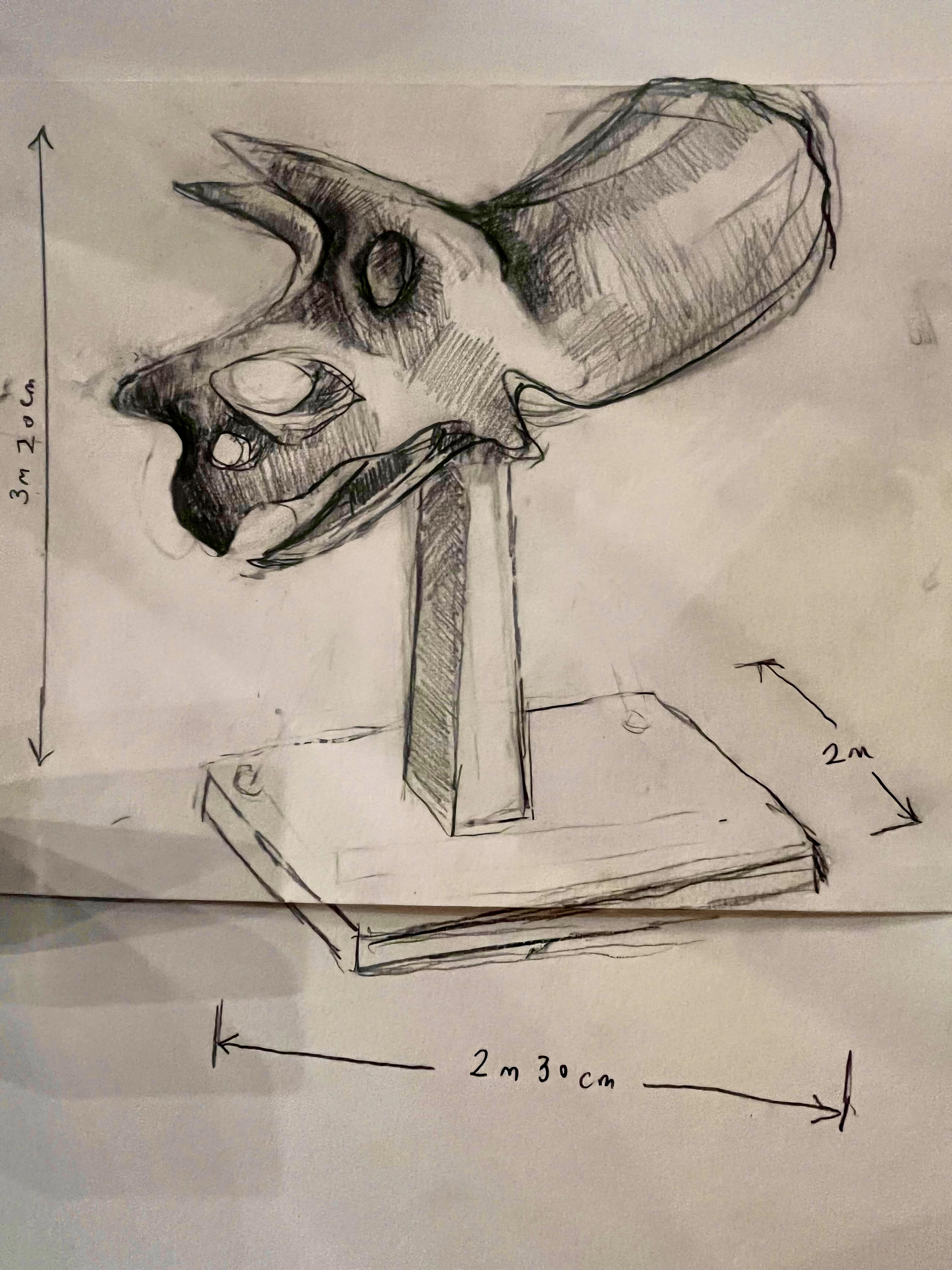 Image of sketch of Triceratops skull sculpture