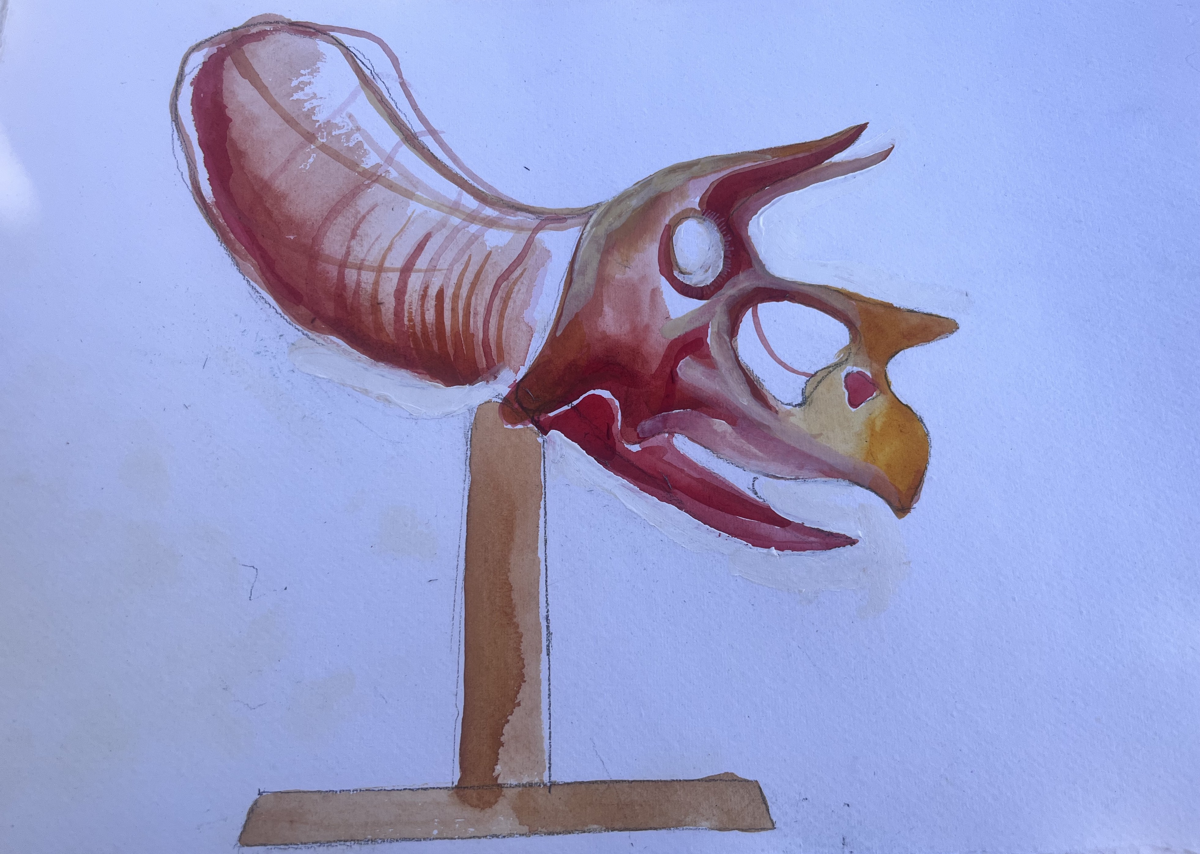 Image of red watercolour painting of Triceratops Skull sculpture