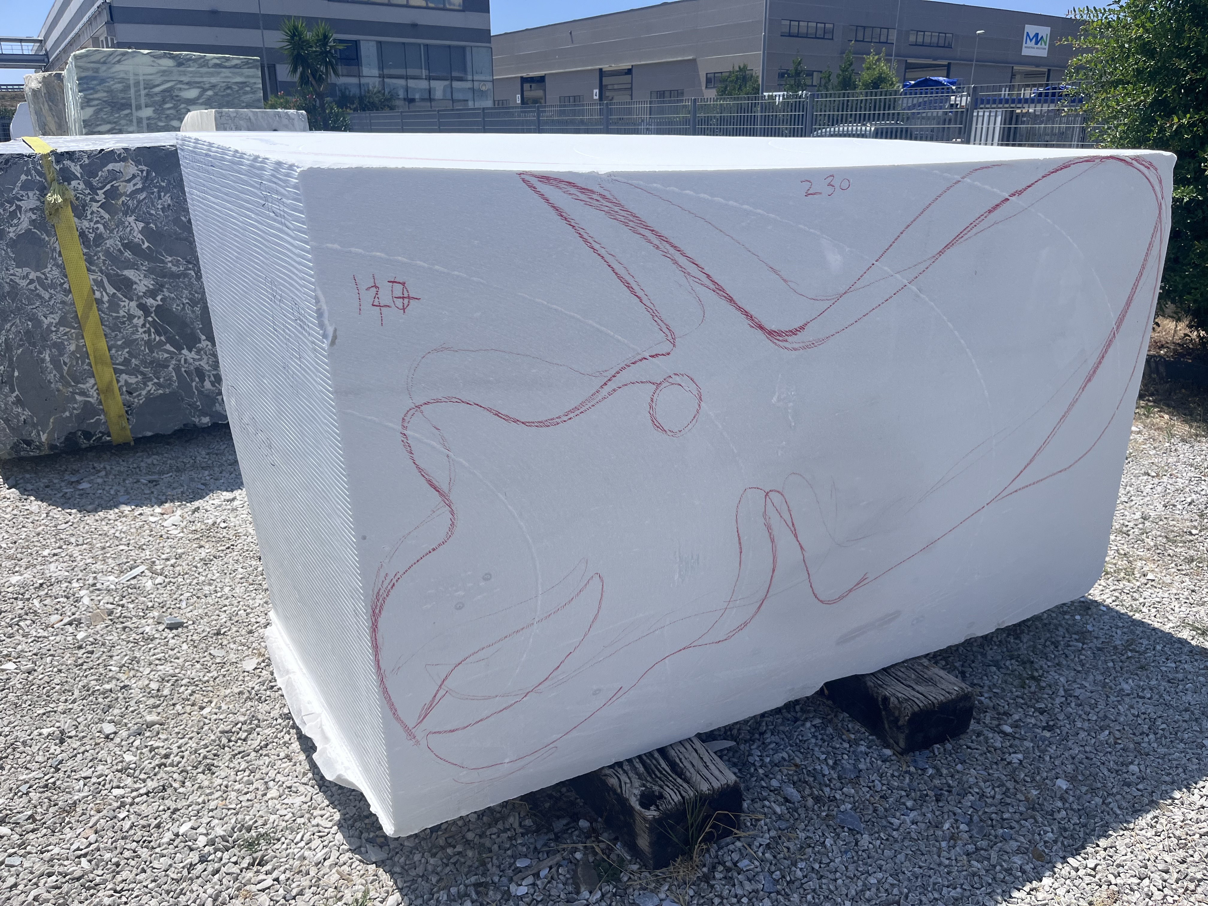 Image of white Carrara marble block with Triceratops drawing outline 
