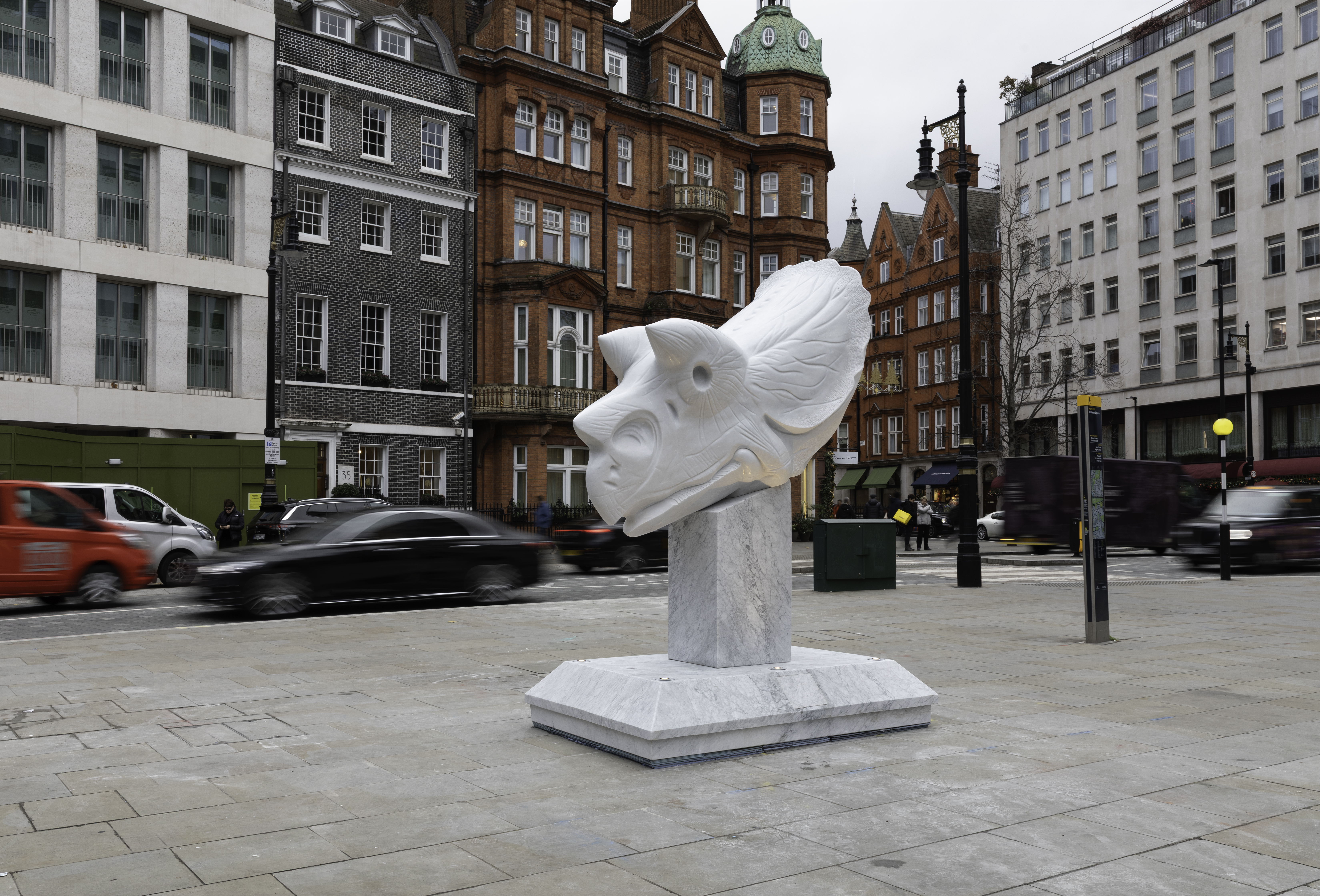 Paul Vanstone x David Aaron - Carrara Triceratops Skull