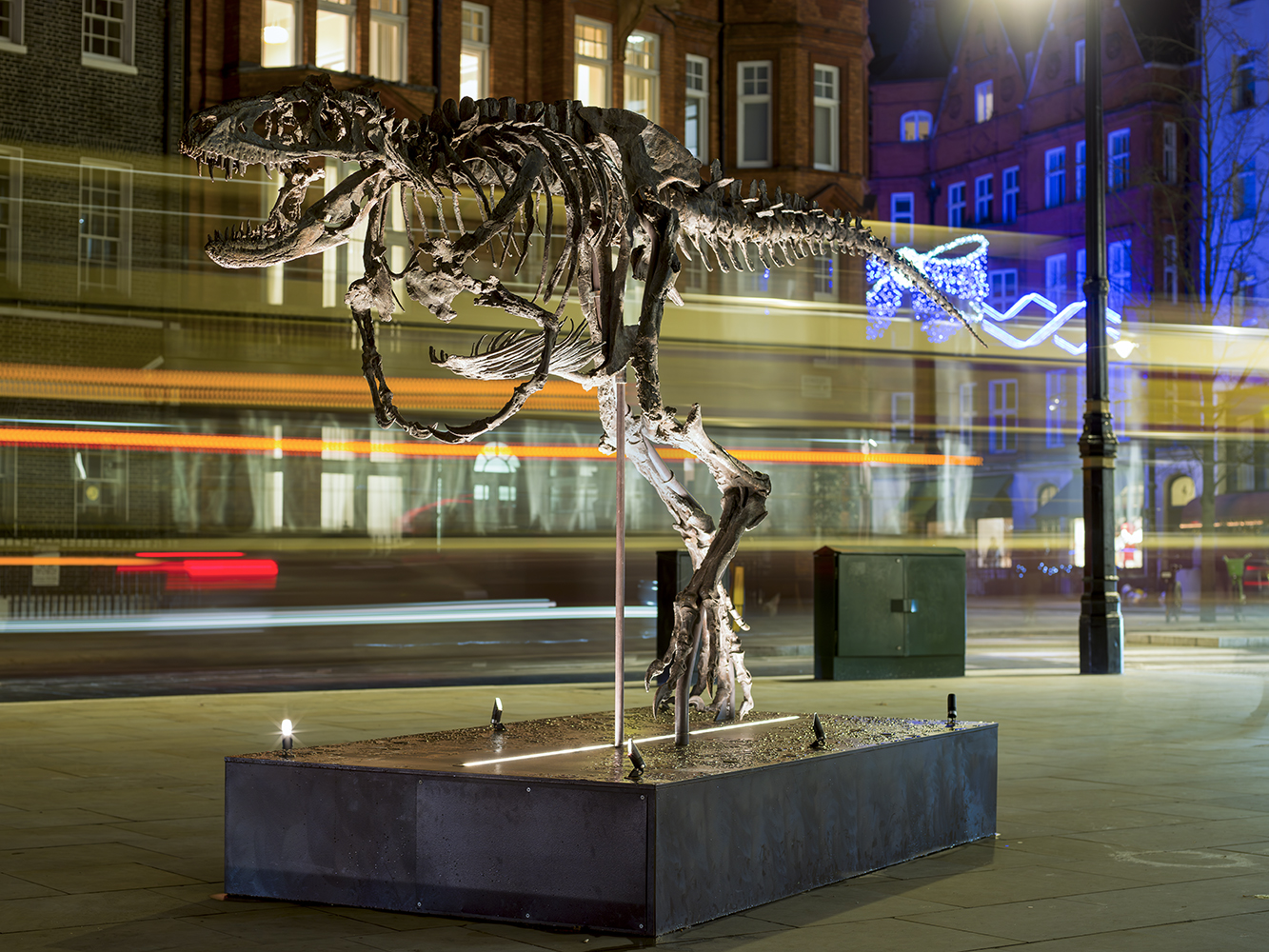 Berkeley Square T Rex 