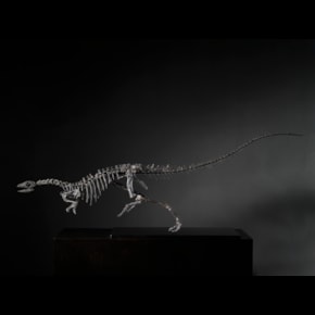 Enigmacursor Skeleton