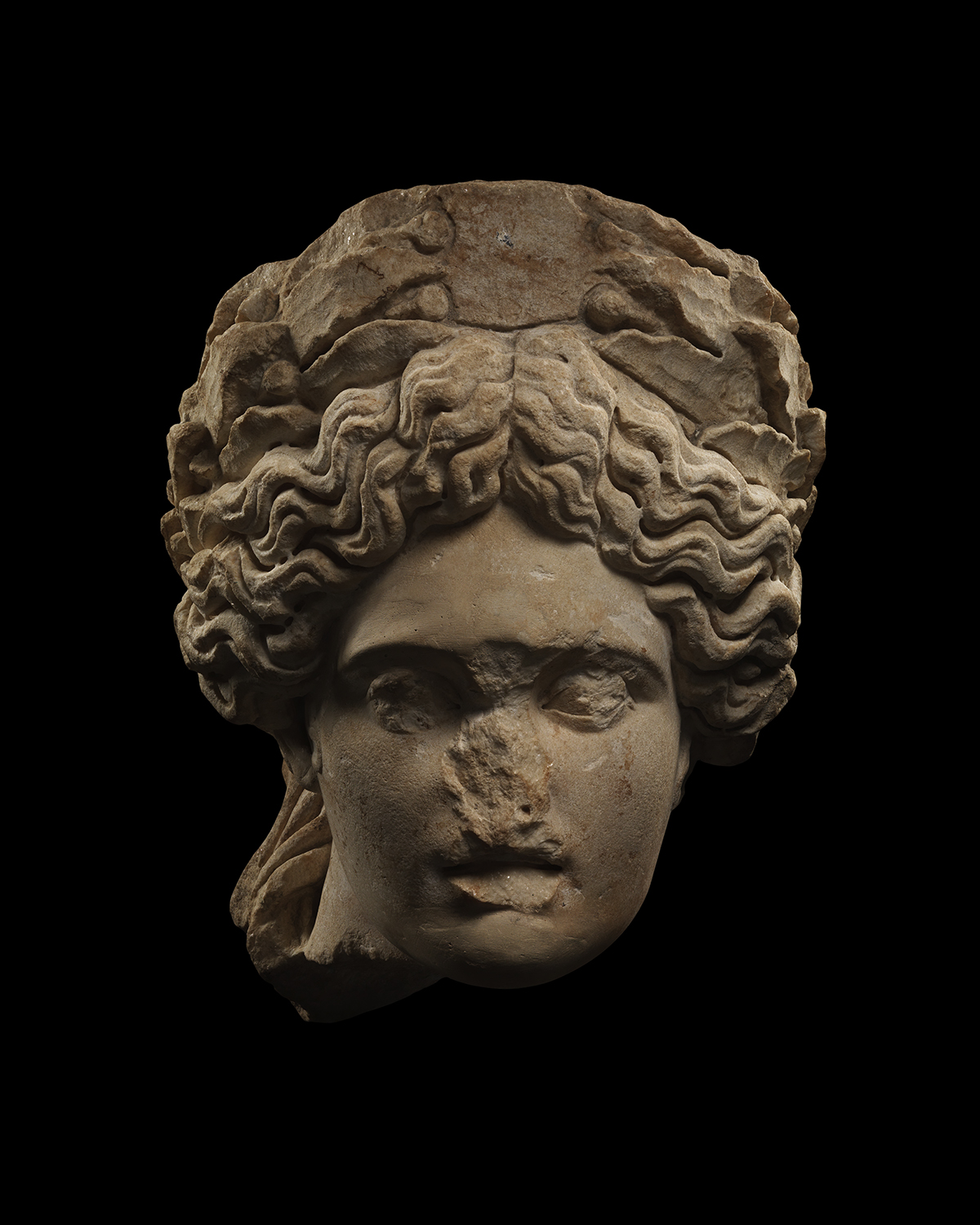 Head of Apollo Lykeios